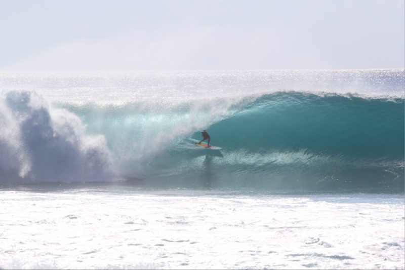 Book Your Dreamweaver Surf Charter